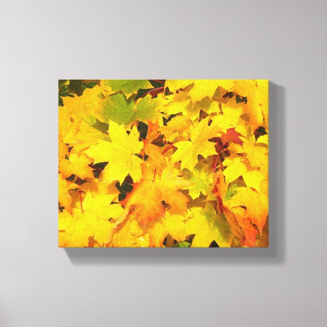 Fall Maple Leaves with Autumn Colours Canvas Print (Front)