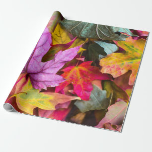 Fall maple tree leaf colourful autumn nature photo wrapping paper