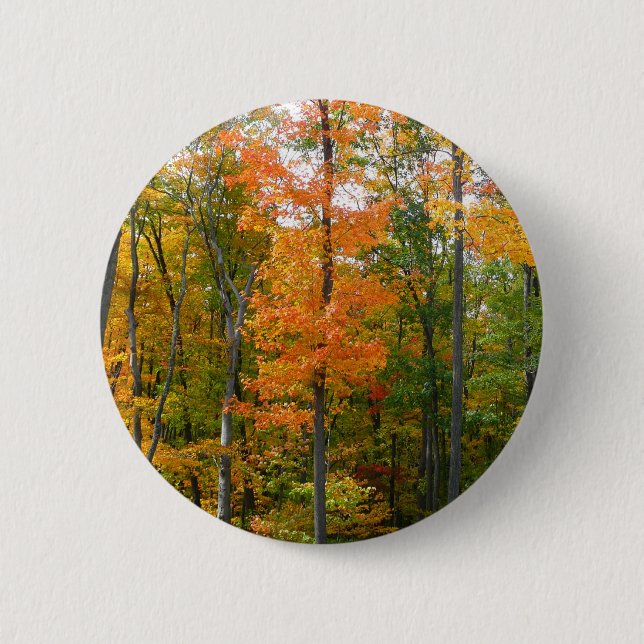 Fall Maple Trees Autumn Nature Photography 6 Cm Round Badge (Front)