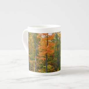 Fall Maple Trees Autumn Nature Photography Bone China Mug