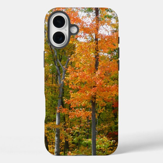 Fall Maple Trees Autumn Nature Photography Case-Mate iPhone Case (Back)