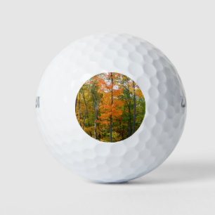 Fall Maple Trees Autumn Nature Photography Golf Balls