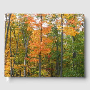 Fall Maple Trees Autumn Nature Photography Guest Book