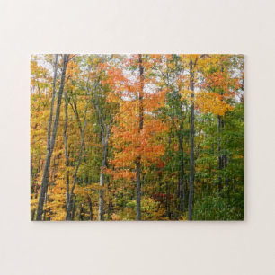 Fall Maple Trees Autumn Nature Photography Jigsaw Puzzle