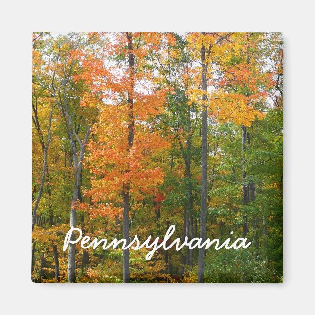 Fall Maple Trees Autumn Nature Photography Magnet (Front)
