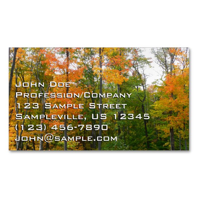 Fall Maple Trees Autumn Nature Photography Magnetic Business Card (Front)