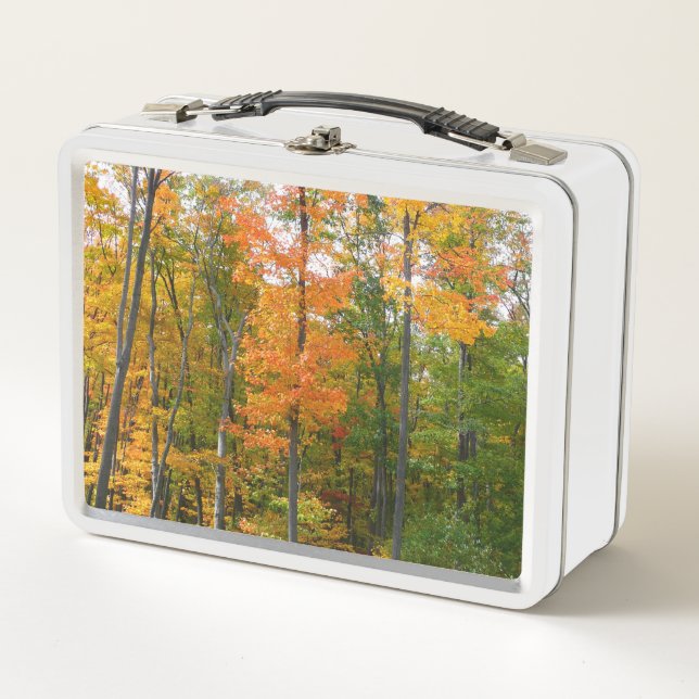 Fall Maple Trees Autumn Nature Photography Metal Lunch Box (Front)