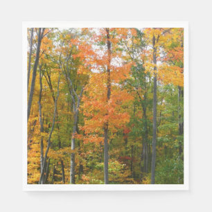 Fall Maple Trees Autumn Nature Photography Napkin