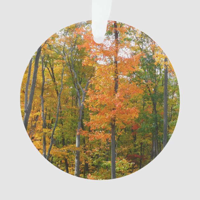 Fall Maple Trees Autumn Nature Photography Ornament (Front)