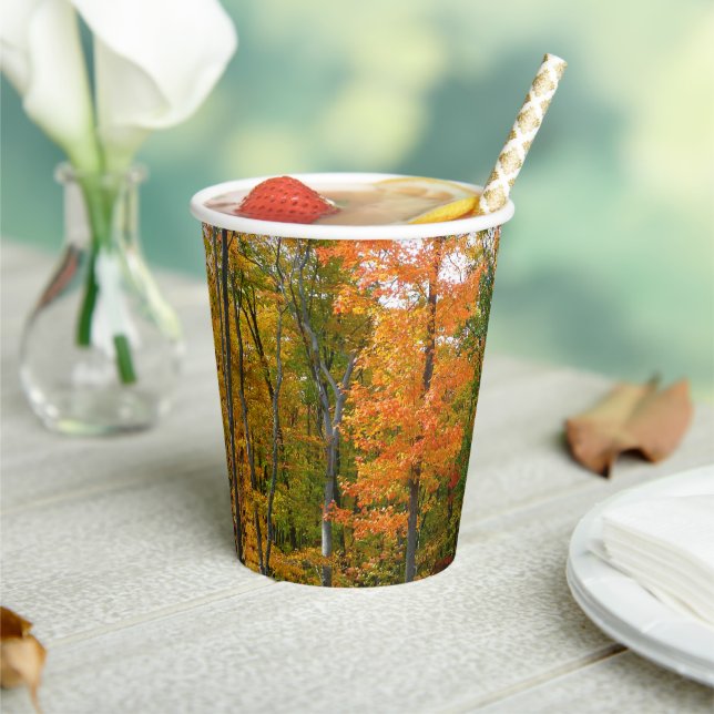 Fall Maple Trees Autumn Nature Photography Paper Cups (Insitu)