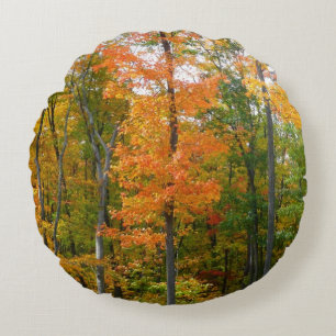 Fall Maple Trees Autumn Nature Photography Round Cushion