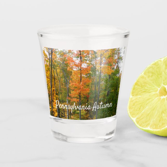 Fall Maple Trees Autumn Nature Photography Shot Glass (Front)
