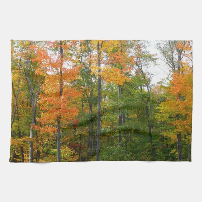 Fall Maple Trees Autumn Nature Photography Tea Towel (Horizontal)