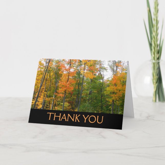 Fall Maple Trees Autumn Nature Photography Thank You Card (Front)