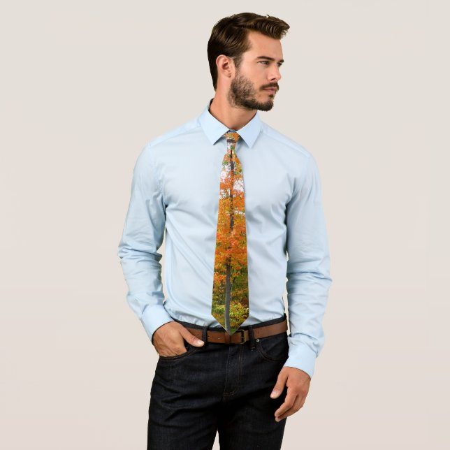 Fall Maple Trees Autumn Nature Photography Tie (In Situ)