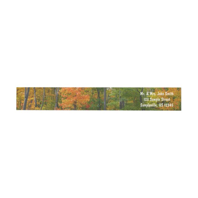 Fall Maple Trees Autumn Nature Photography Wrap Around Label (Individual)