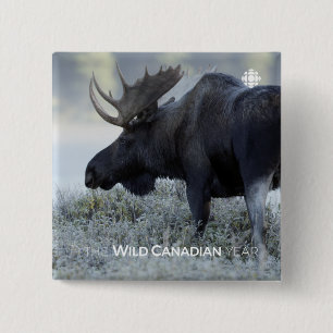 Fall - Moose 15 Cm Square Badge