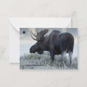 Fall - Moose Card