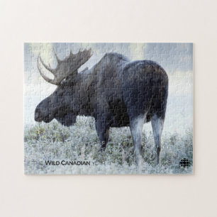 Fall - Moose Jigsaw Puzzle