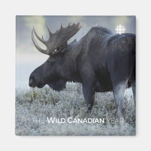 Fall - Moose Magnet