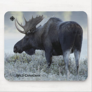 Fall - Moose Mouse Mat