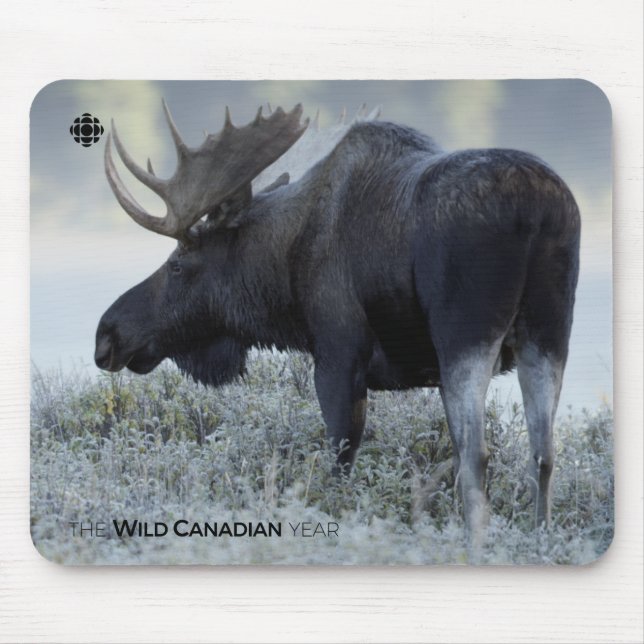 Fall - Moose Mouse Mat (Front)