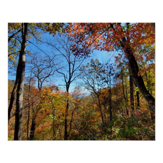Fall Mountain Hike Forest Leaves Poster (Front)