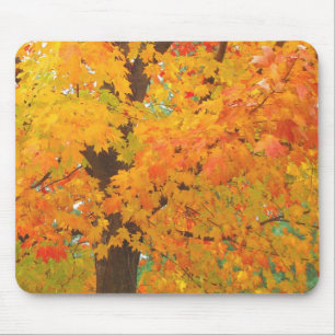 Fall mousepad