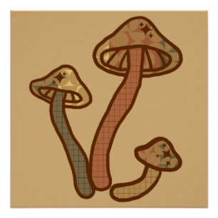 Fall Mushrooms Poster