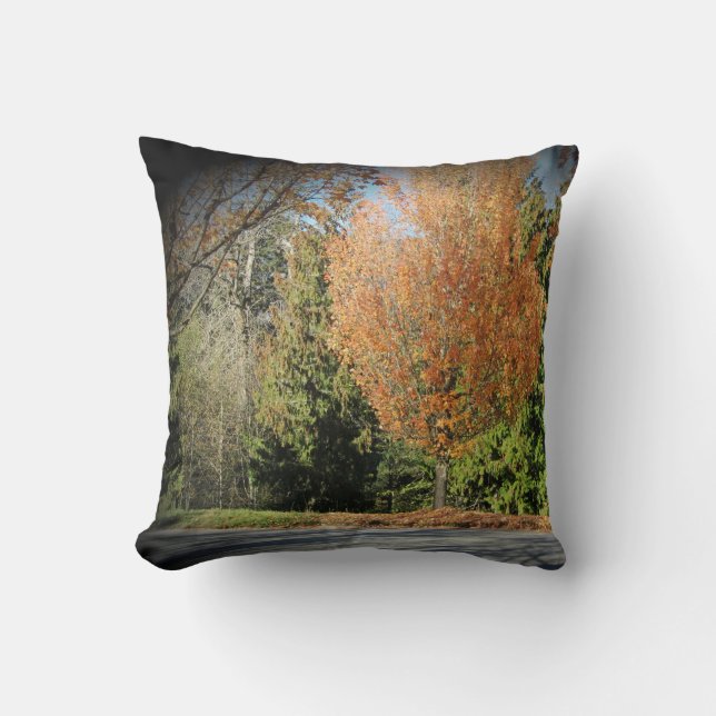 Fall Nature Scene Cushion (Front)