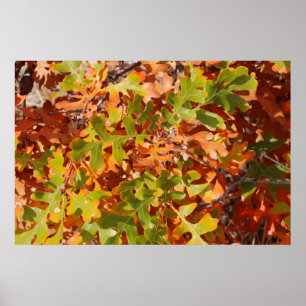 Fall Oak Tapestry Poster