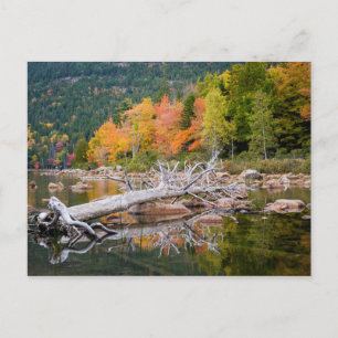 Fall of Maine Postcard