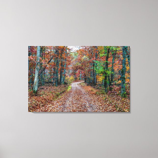 Fall On The Dirt Road new Canvas Print (Front)