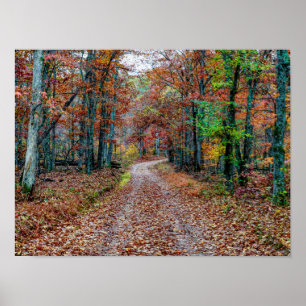 Fall On The Dirt Road new Poster