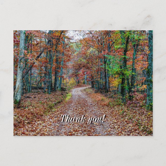 Fall On The Dirt Road Thank You Postcard (Front)