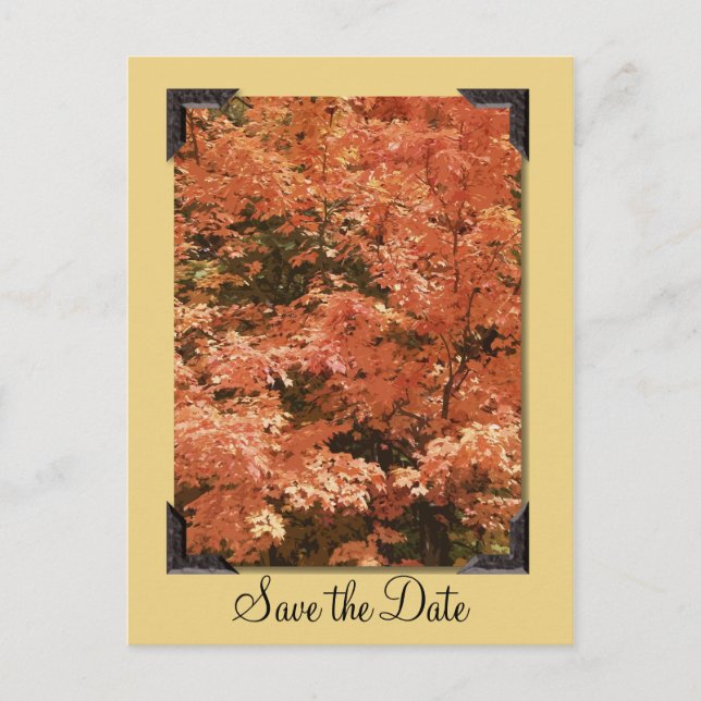 Fall Orange Leaves Wedding Save the Date Announcement Postcard (Front)