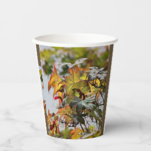 Fall Paper Cups