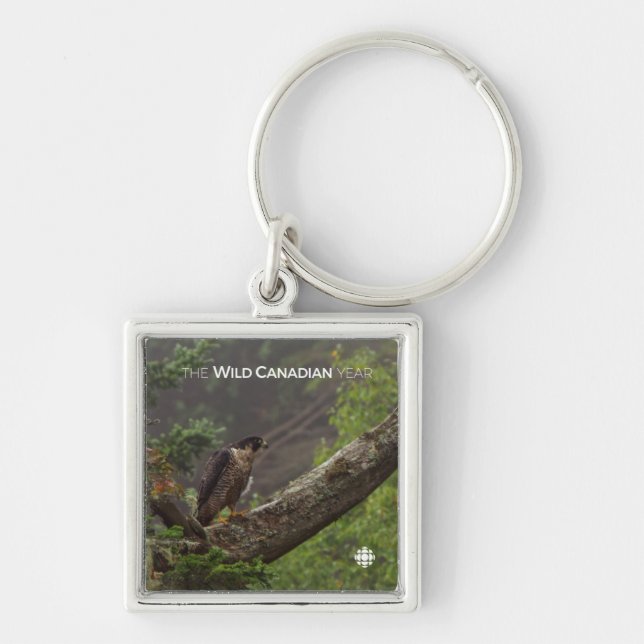 Fall - Peregrine Falcon Key Ring (Front)