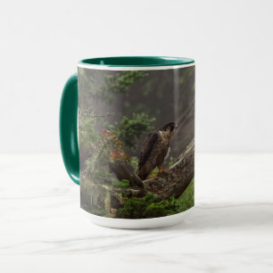 Fall - Peregrine Falcon Mug