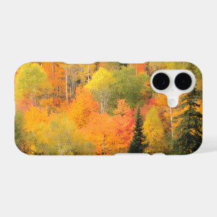 Fall Photography Autumn Forest Colours