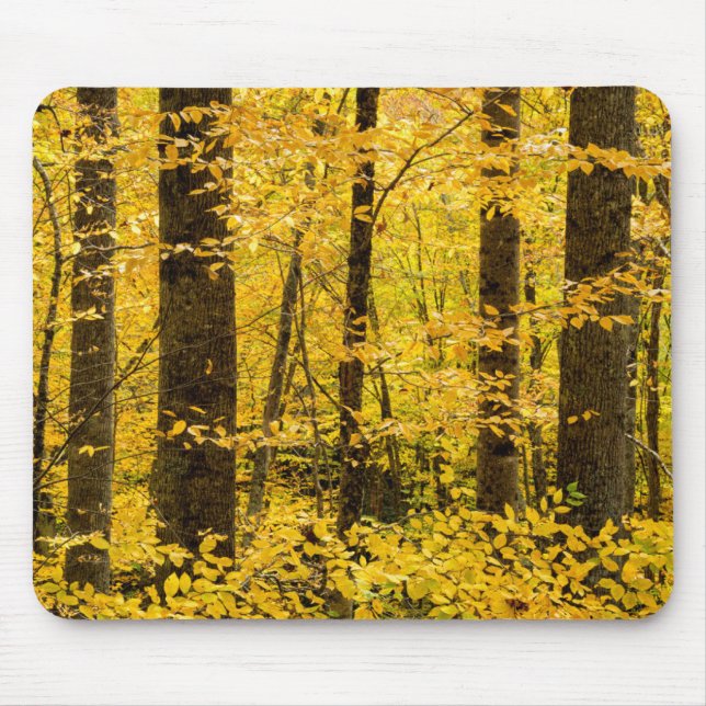 Fall Pisgah National Forest Mouse Mat (Front)