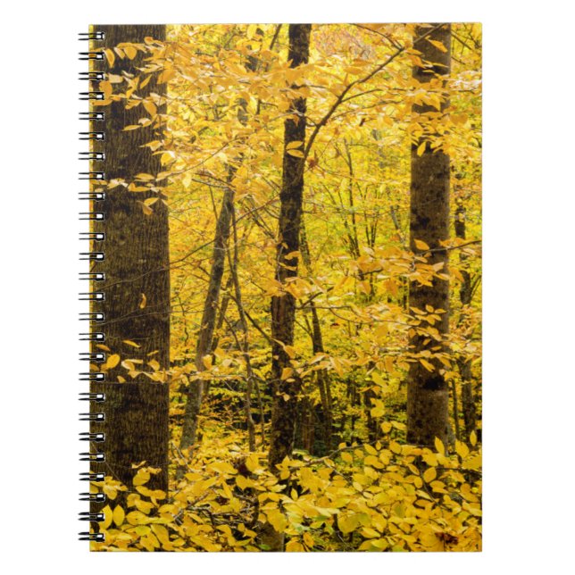 Fall Pisgah National Forest Notebook (Front)