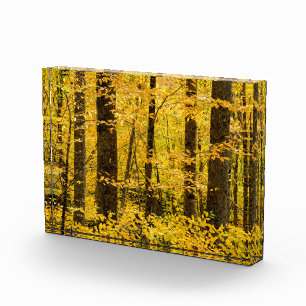 Fall Pisgah National Forest Photo Block