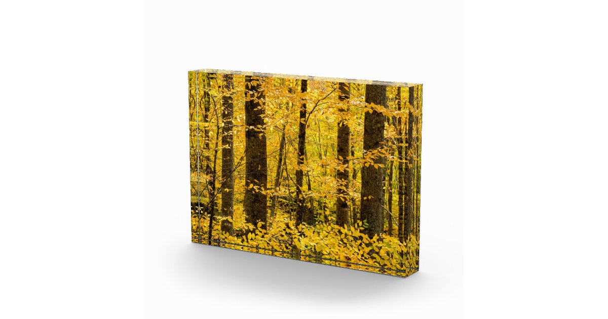 Fall Pisgah National Forest Photo Block Zazzle