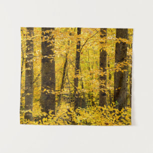 Fall Pisgah National Forest Tapestry