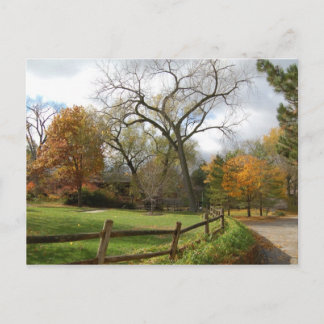 Fall Postcard