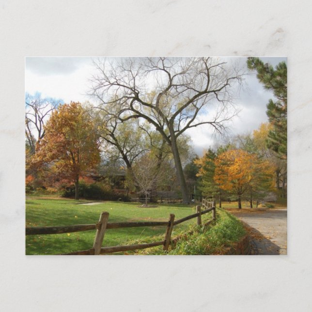 Fall Postcard (Front)