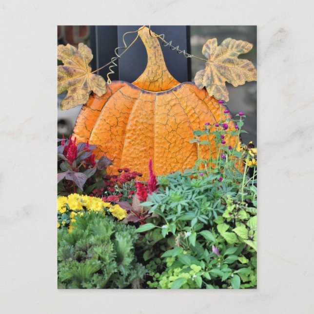 Fall Postcard (Front)