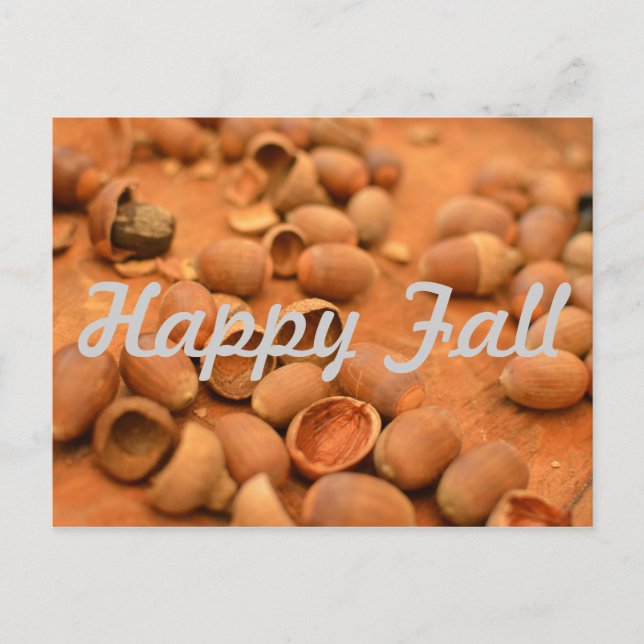Fall Postcards (Front)