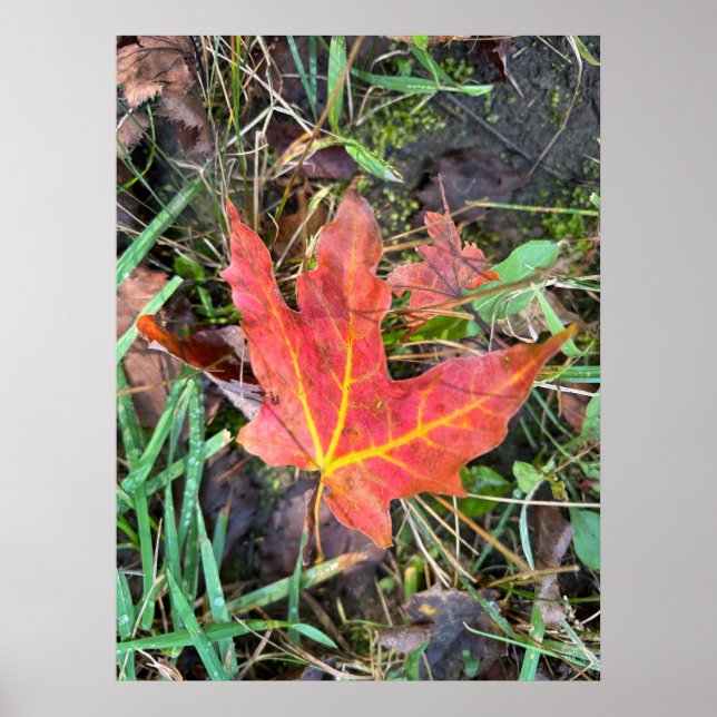 Fall poster (Front)